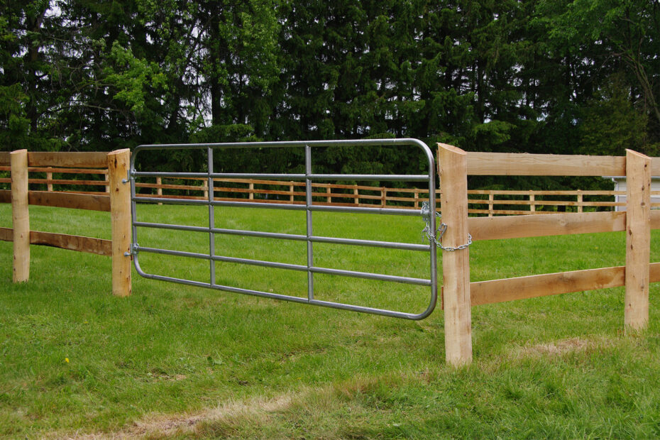 How to Choose Right Cattle Gate for Your Farm